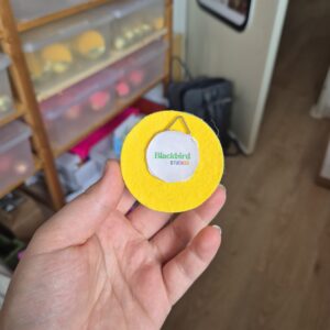 Disco Wall Hanger L (goud/zilver/rose gold)