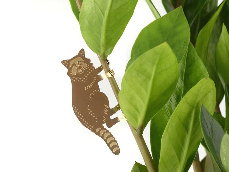 Plant Hanger Raccoon Wasbeer (10g)
