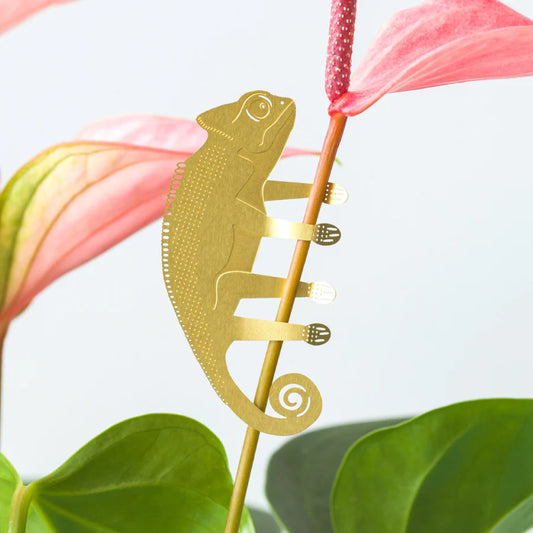Plant Hanger Kameleon (10g)