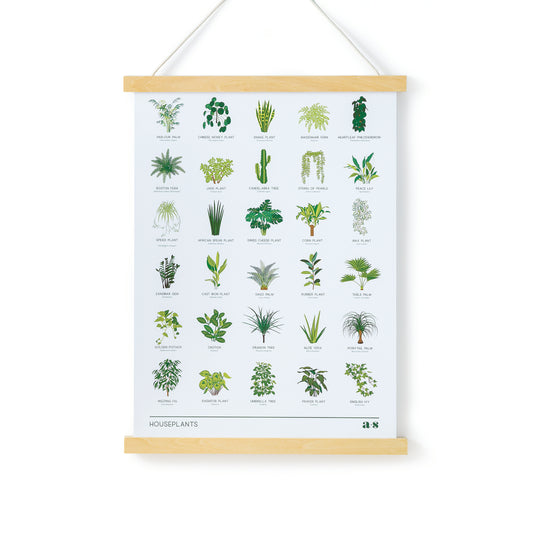 Poster met 30 planten en namen A3