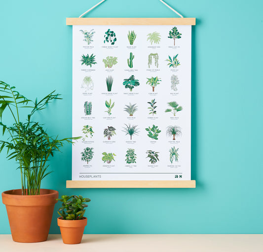 Poster met 30 planten en namen A3