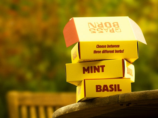 Compost Setje met Zaadjes GRASSBORN