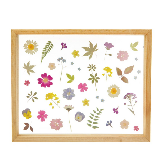 Glazen Frame Zomerse Gedrukte Bloemen Pressed Flowers