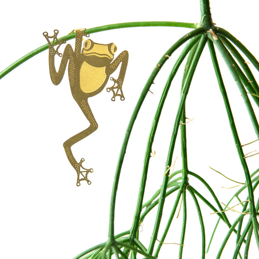 Porte-plantes Tree Frog Gold (10g)
