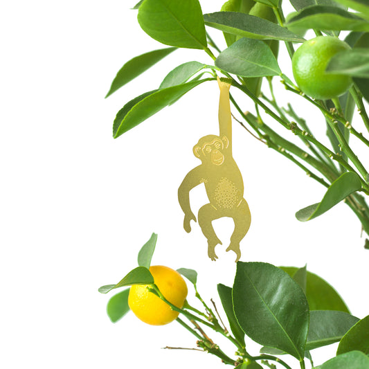 Pendentif Plante Chimpanzé Or (10g)