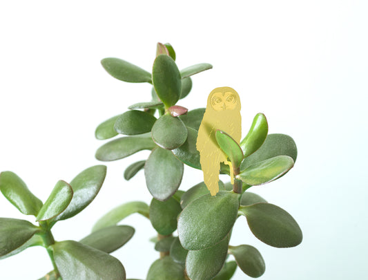 Pendentif Plante Chouette Or (10g)