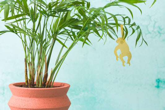 Pendentif Plante Chimpanzé Or (10g)