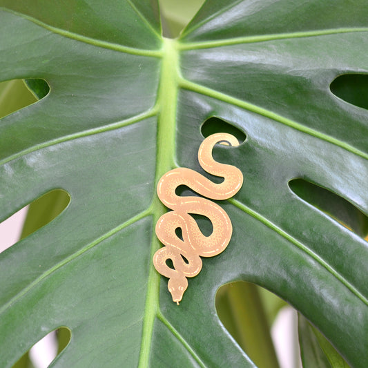 Plant Hanger Slang Goud (10g)