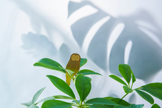 Pendentif Plante Chouette Or (10g)