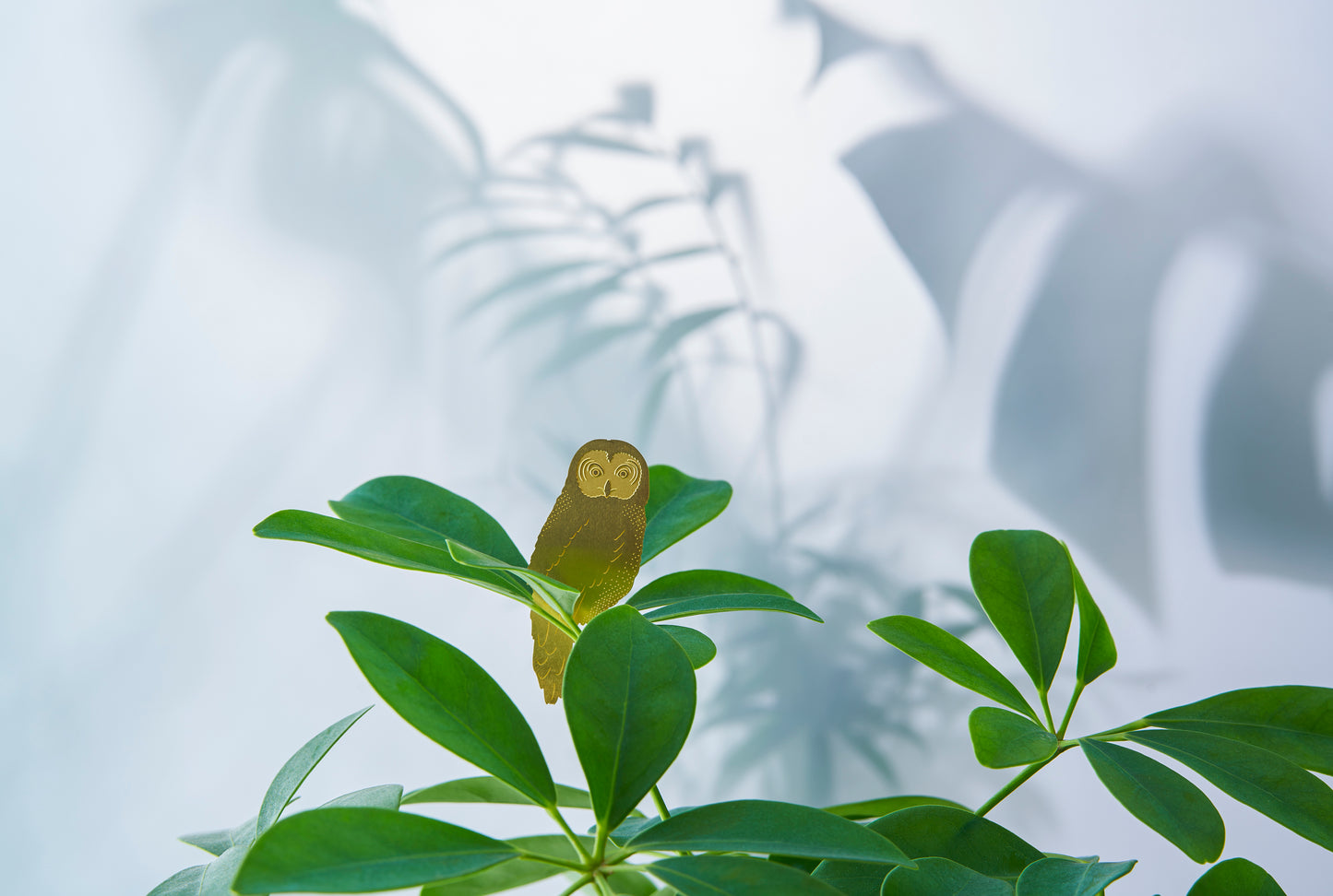 Plant Pendant Owl Gold (10g)