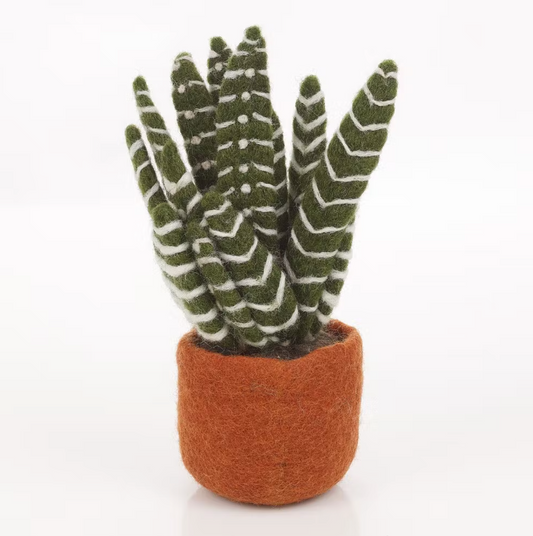 Vilten Aloe Vera plant in potje