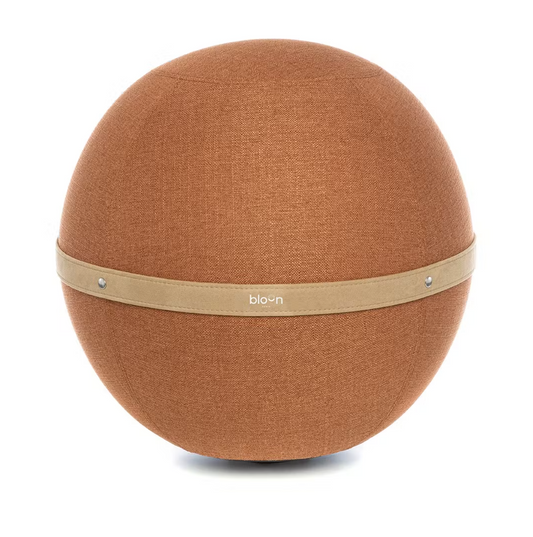 Ergonomische Zitbal Design Terracotta XL