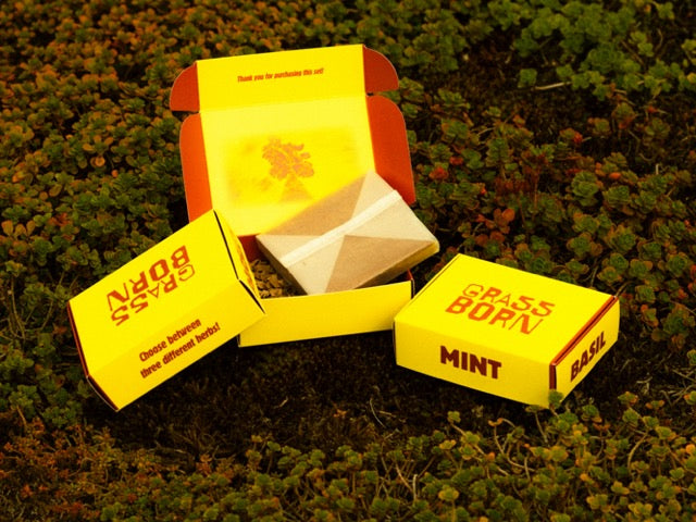 Compost Setje met Zaadjes GRASSBORN