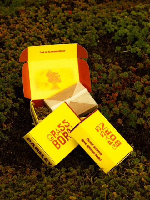 Compost Setje met Zaadjes GRASSBORN