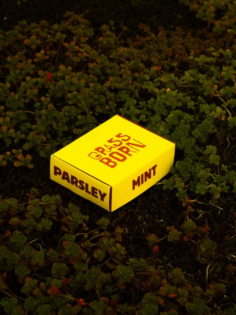 Compost Setje met Zaadjes GRASSBORN