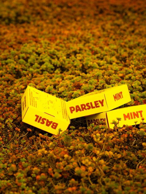 Compost Setje met Zaadjes GRASSBORN