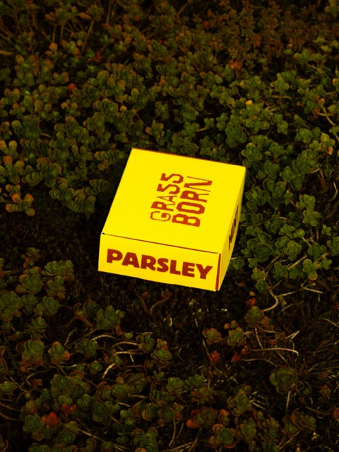 Compost Setje met Zaadjes GRASSBORN