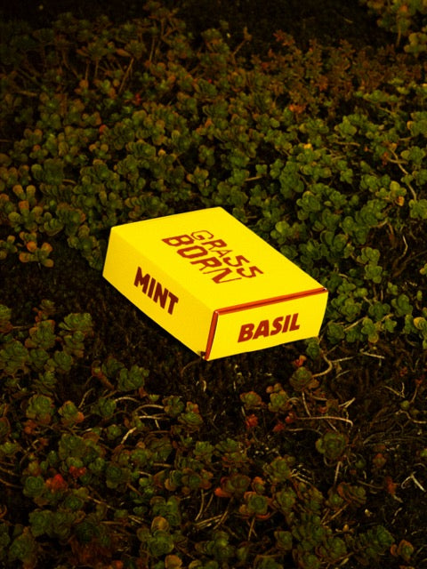 Compost Setje met Zaadjes GRASSBORN