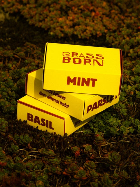 Compost Setje met Zaadjes GRASSBORN