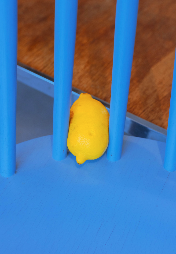 Prints A5 Chasing Circles