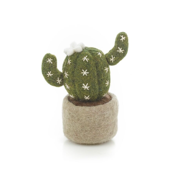 Vilten Mini Cactus plant in potje