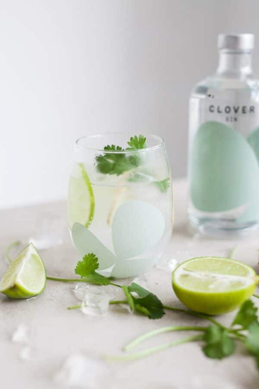 Gin Clover Giftbox (Original Gin 40%) 500 ml