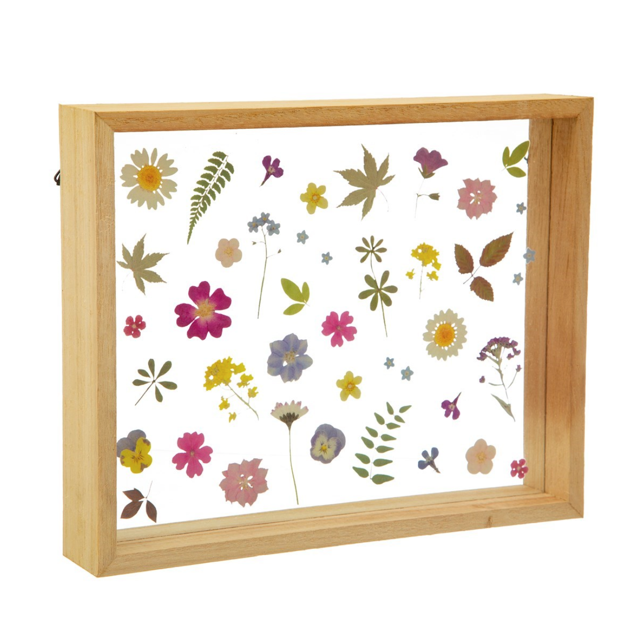 Glazen Frame Zomerse Gedrukte Bloemen Pressed Flowers