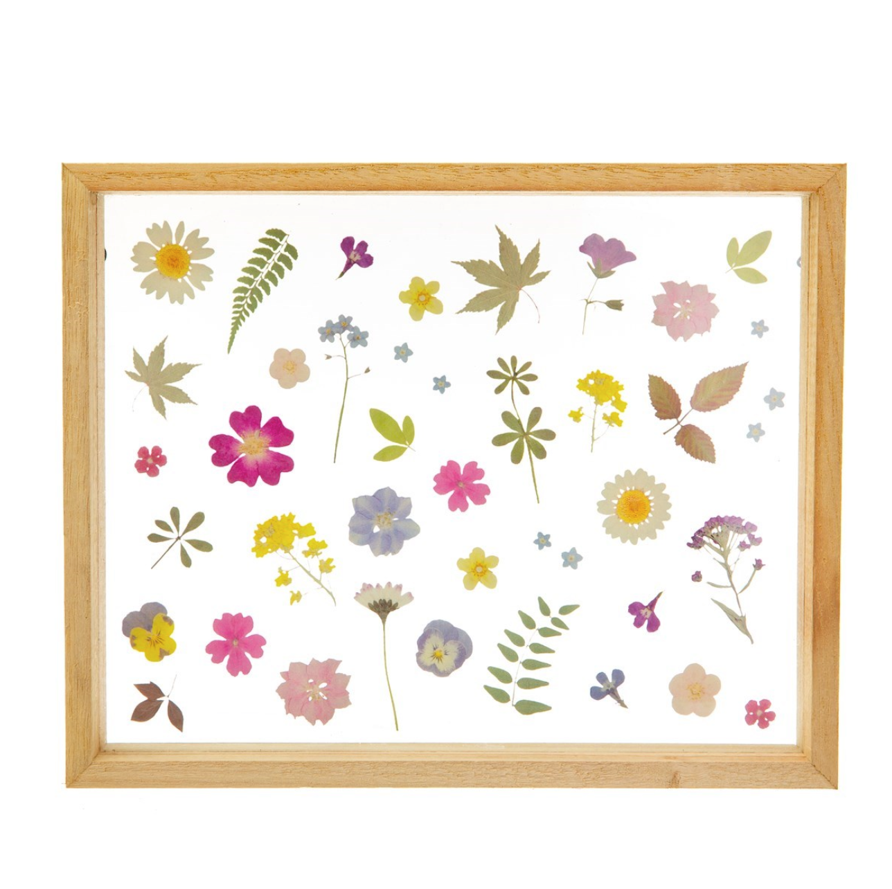 Glazen Frame Zomerse Gedrukte Bloemen Pressed Flowers