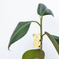 Plant Hanger Koala Goud (10g)