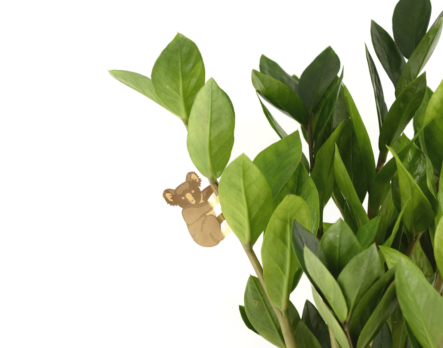 Pendentif Plante Koala Or (10g) 