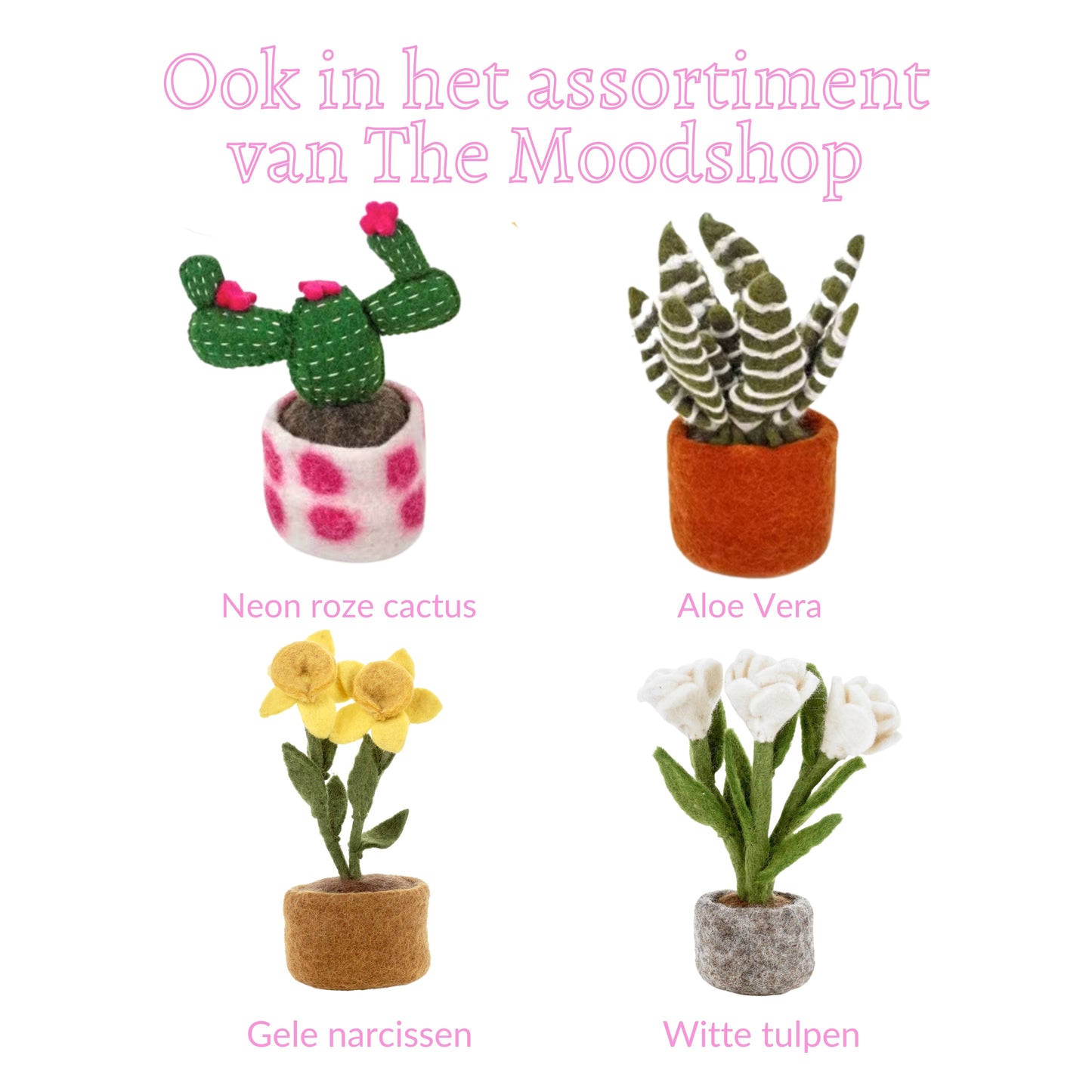 Vilten Roze Cactus met Stippen